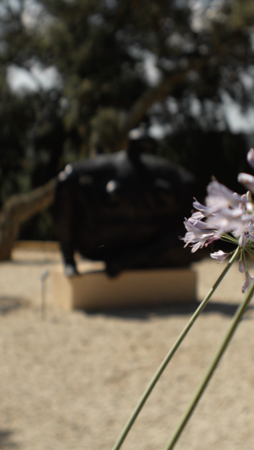 Une exposition sous le soleil de Saint-Tropez